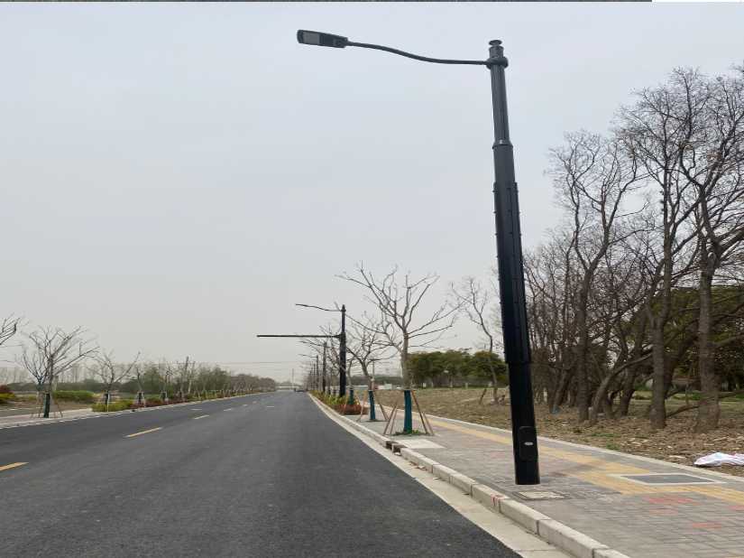 元宝区上海综合杆 太阳能路灯工程